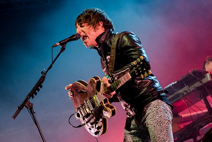 the wombats